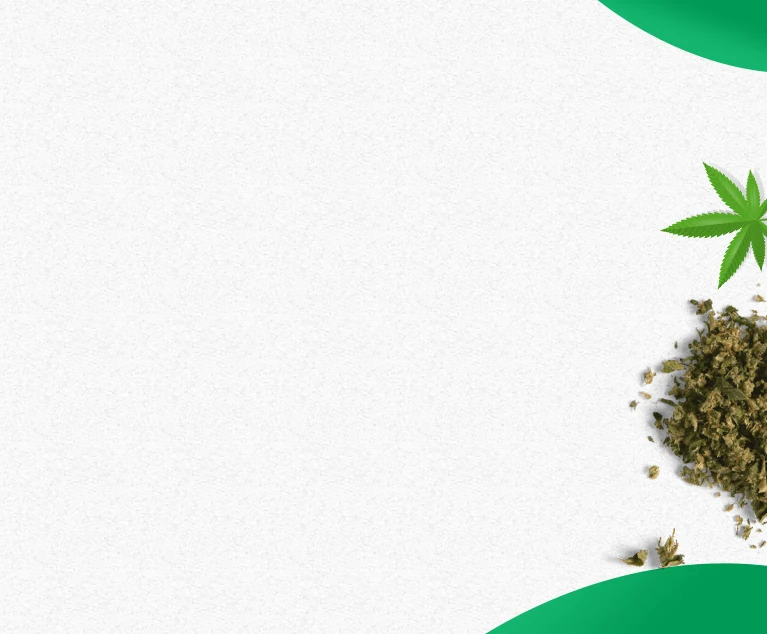 GTA's Fastest Cannabis Delivery Service