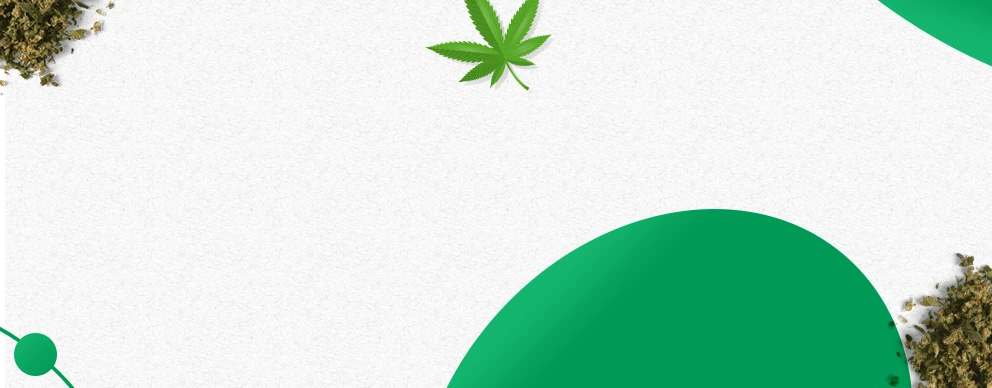 GTA's Fastest Cannabis Delivery Service