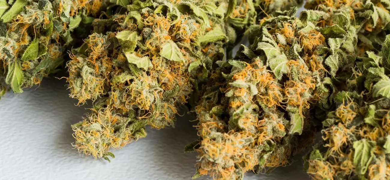 Unveiling the Best Weed Seed Strains of 2023: A Cannabis Enthusiast's Guide