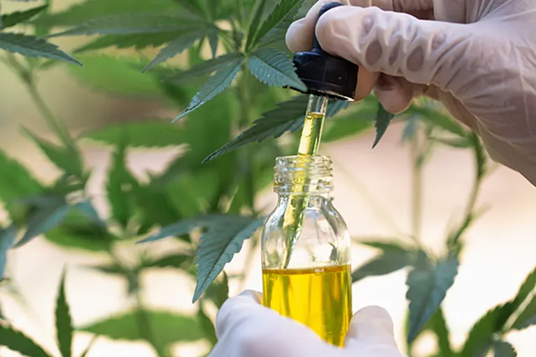 Cannabinoid Profiles