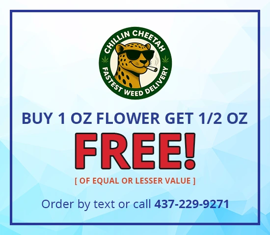 Flower Power Deal Buy 1 Get 1/2 Free!