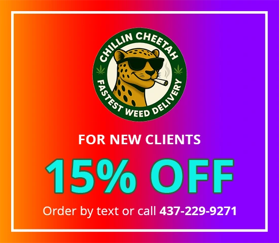 New Clients 15% OFF