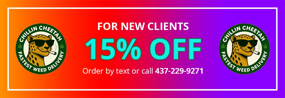 New Clients 15% OFF