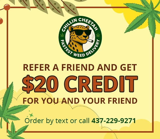 Refer a Friend & Get $20 OFF