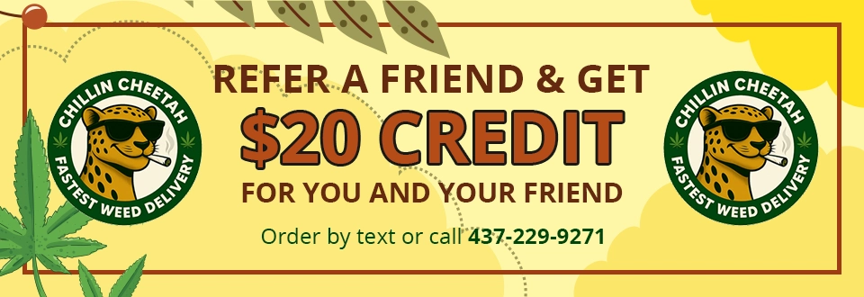 Refer a Friend & Get $20 OFF