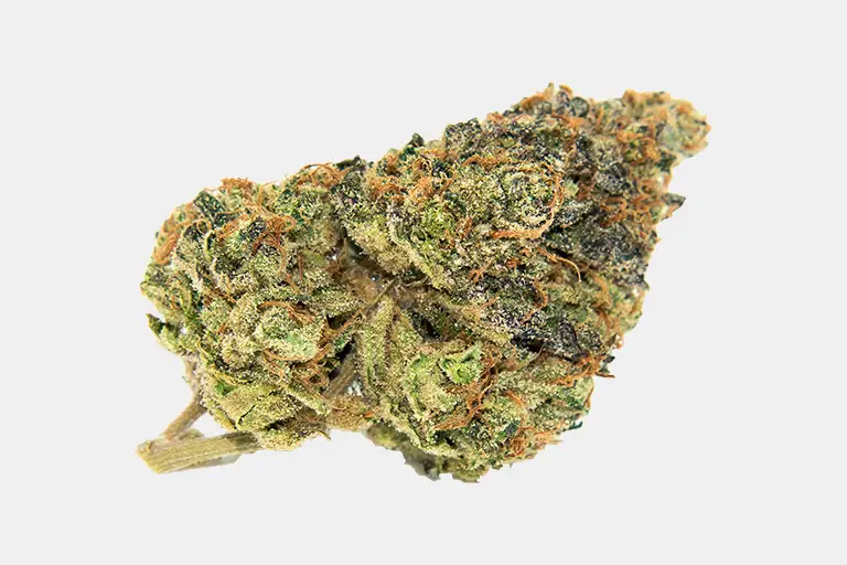 Gelato @ Chillin Cheetah Weed delivery