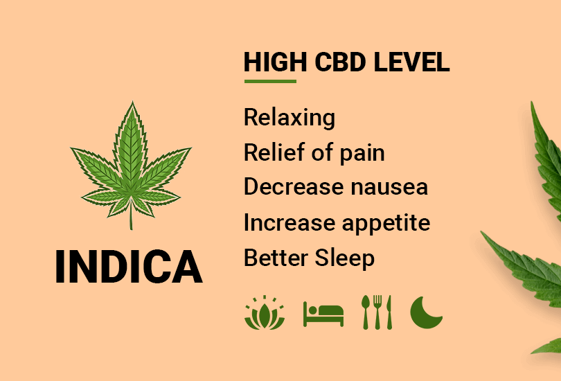 Indica