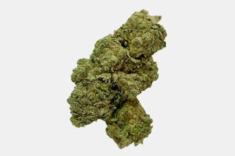 Majestic Mimosa @ Chillin Cheetah Weed delivery