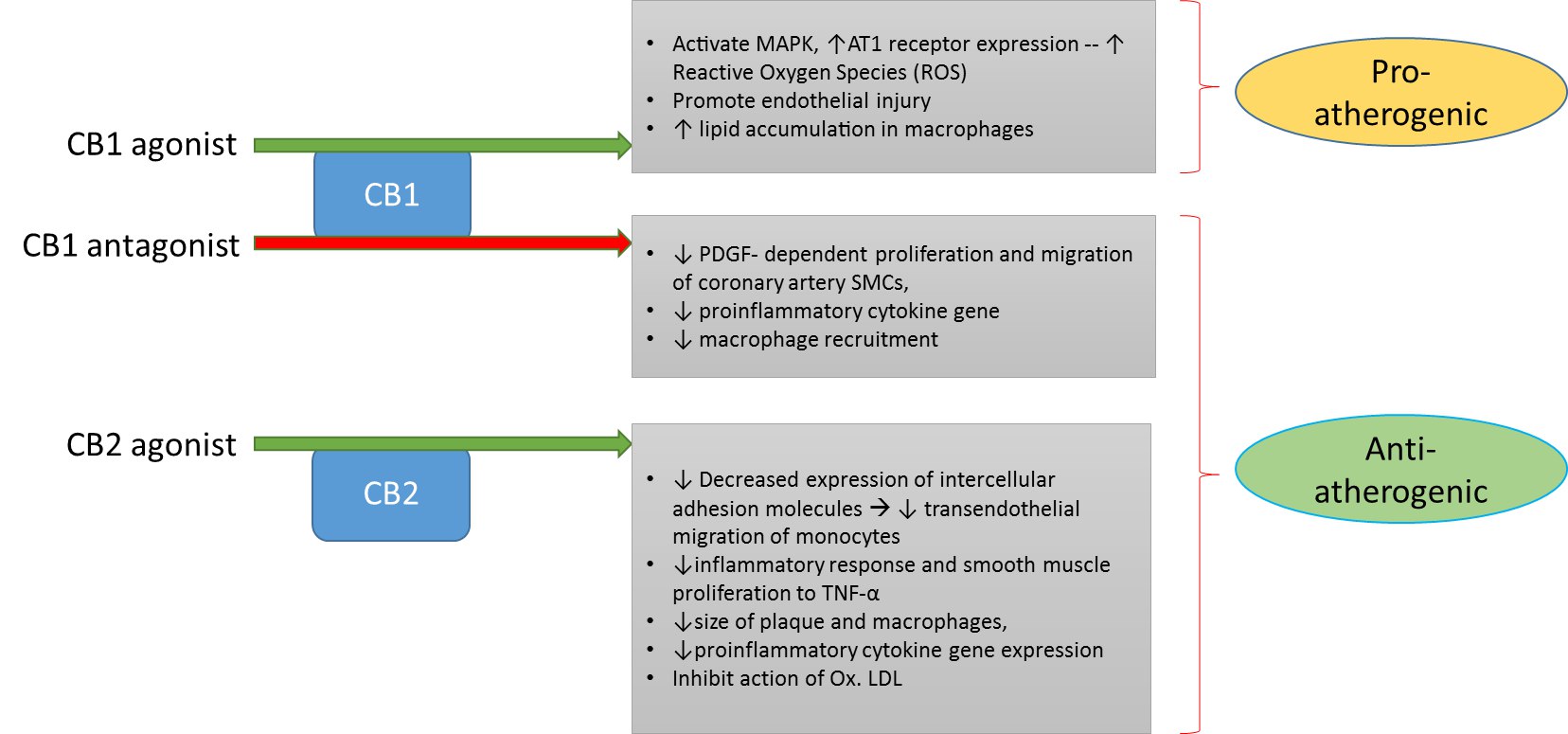Weed delivery services Oakville