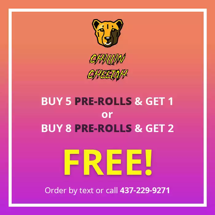 Chillin Cheetah Deals