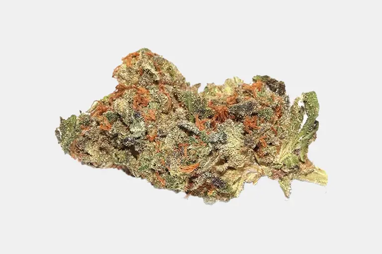 Sunset Sherbet @ Chillin Cheetah Weed delivery