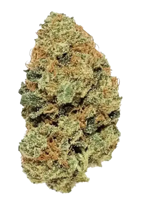 Acapulco Gold for sale - Cannabis Flower @ Chillin Cheetah