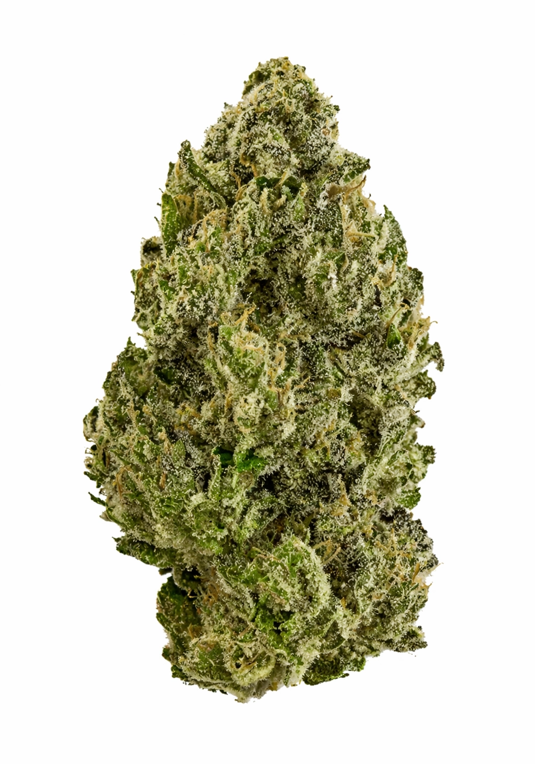 Black Cherry Soda for sale - Cannabis Flower @ Chillin Cheetah
