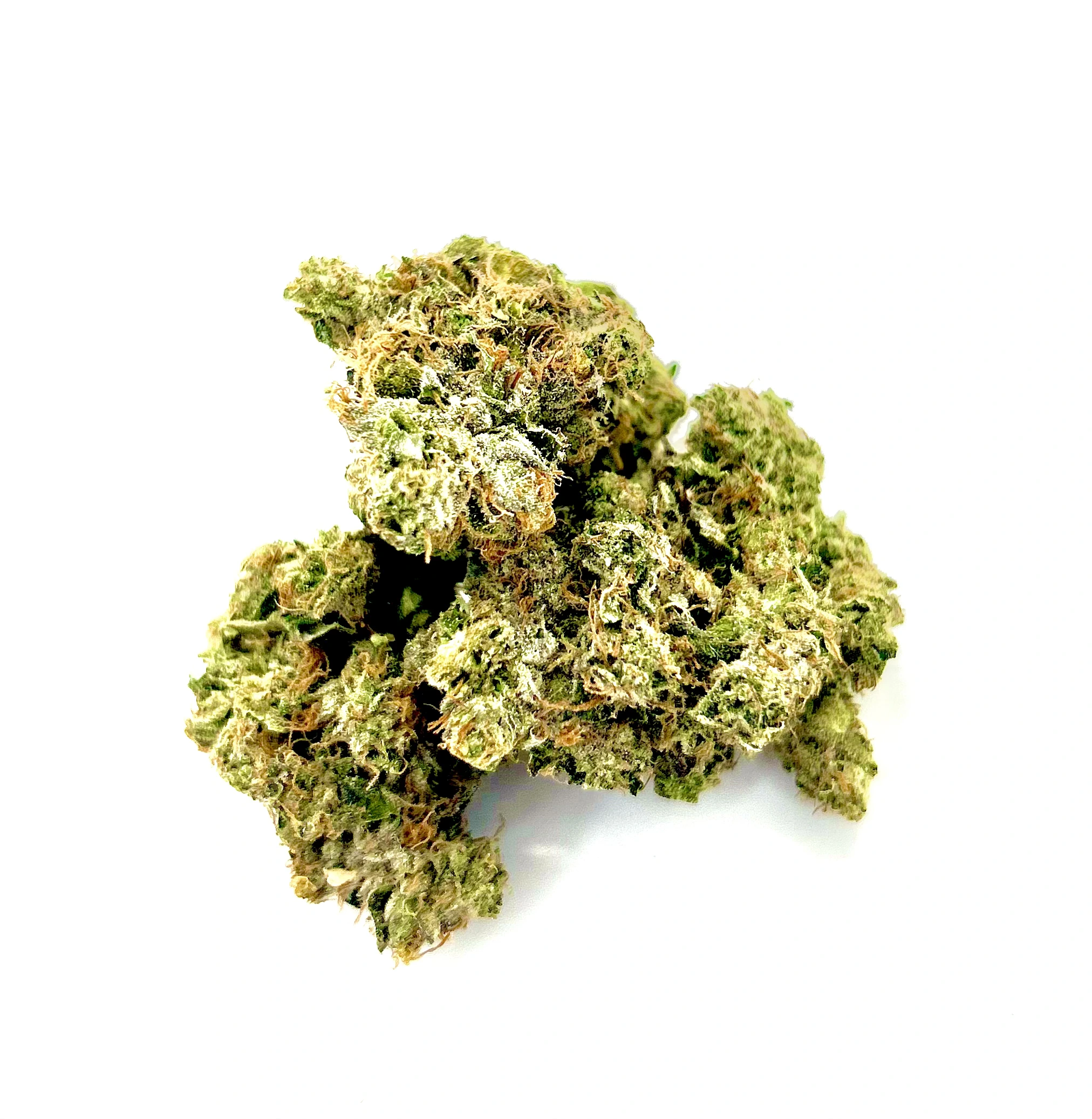 Bubba Og - Chillin Cheetah - Acton