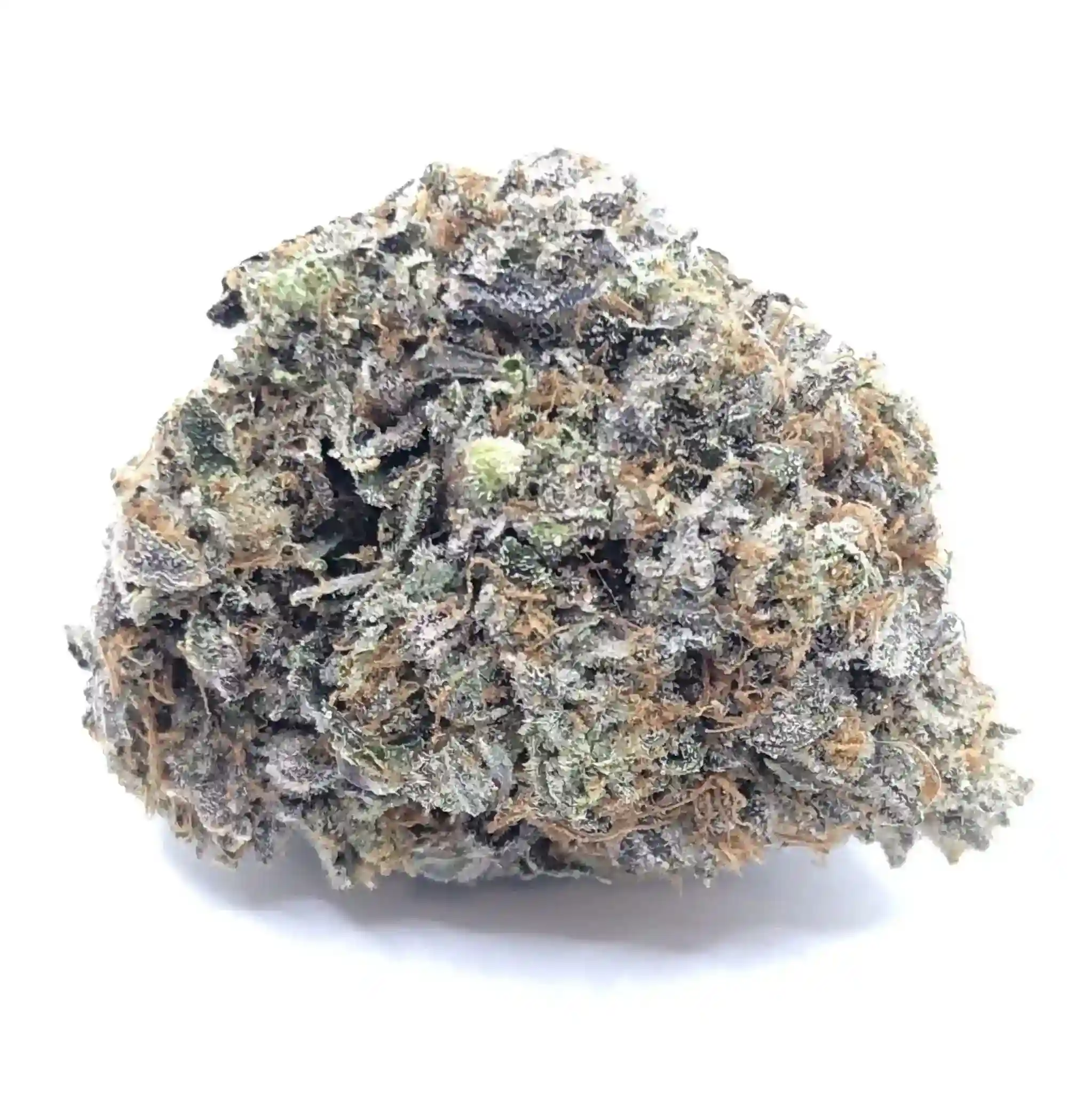 A Close-up Image Of A Dense, Frosty Cannabis Bud Of Diablo Og Kush From Chillin Cheetah With A Mix Of Green And Purple Hues, Covered In Trichomes And Orange Hairs, Set Against A Plain White Background. - Chillin Cheetah - /diabloogkush