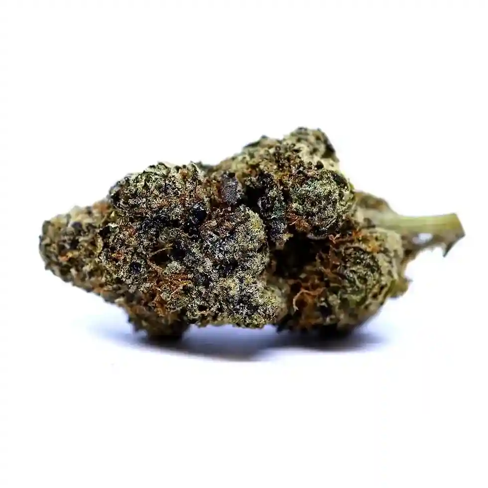 Lemon Cherry Gushers From Chillin Cheetah: A Close-up Image Of A Dense Cannabis Bud With Green And Orange Hues, Covered In A Frosty Layer Of Trichomes, Set Against A Plain White Background. - Chillin Cheetah - /lemoncherrygushers