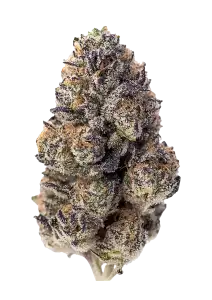 Papa'  OG for sale - Cannabis Flower @ Chillin Cheetah