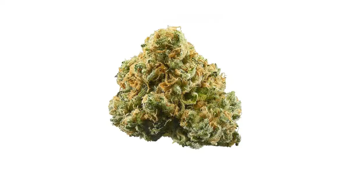 A Close-up Of A Cannabis Bud Of Pineapple Express From Chillin Cheetah With A Greenish Color, Covered In Orange Hairs And White Trichomes, Isolated On A White Background. - Chillin Cheetah - /pineappleexpress