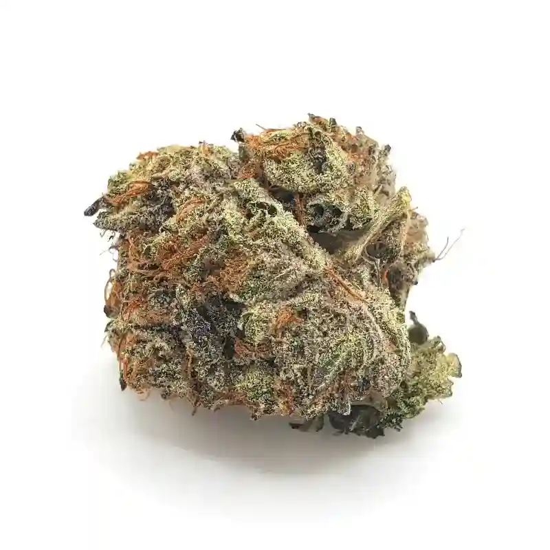 Pinkman Goo - Chillin Cheetah - /pinkmangoo