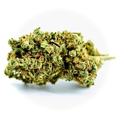 Promo | Hash Bomb for sale - Cannabis Flower @ Chillin Cheetah