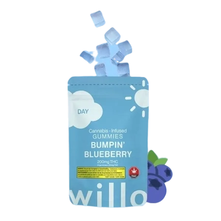 Willo Bumpin Blueberry-Burlington-Delivery @ Chillin Cheetah