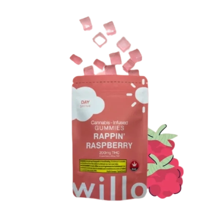 Willo Rappin Raspberry-Milton-Delivery @ Chillin Cheetah