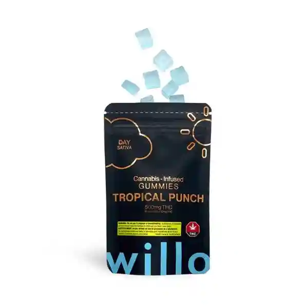 Willo Tropical Punch-Milton-Delivery @ Chillin Cheetah