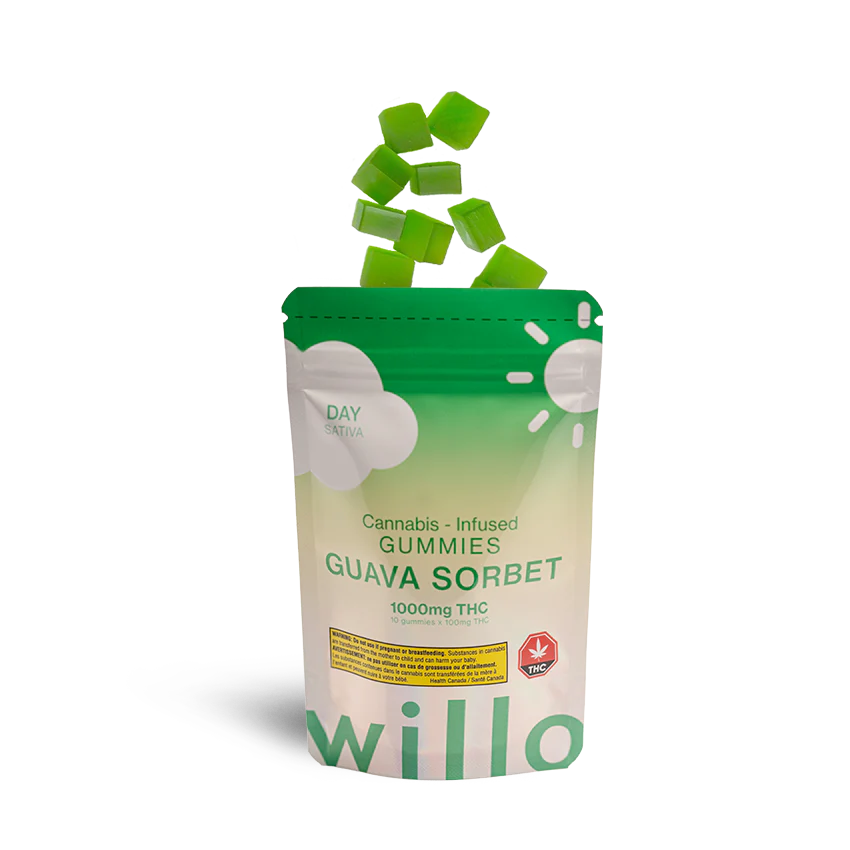 Willo Guava Sorbet-Milton-Delivery @ Chillin Cheetah