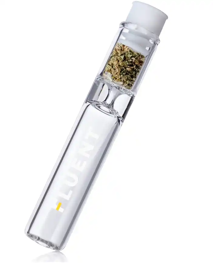 Aura Kit Available For Delivery - Chillin Cheetah