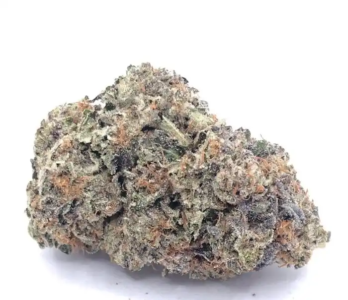 Blue Fin Tuna Available For Delivery - Chillin Cheetah