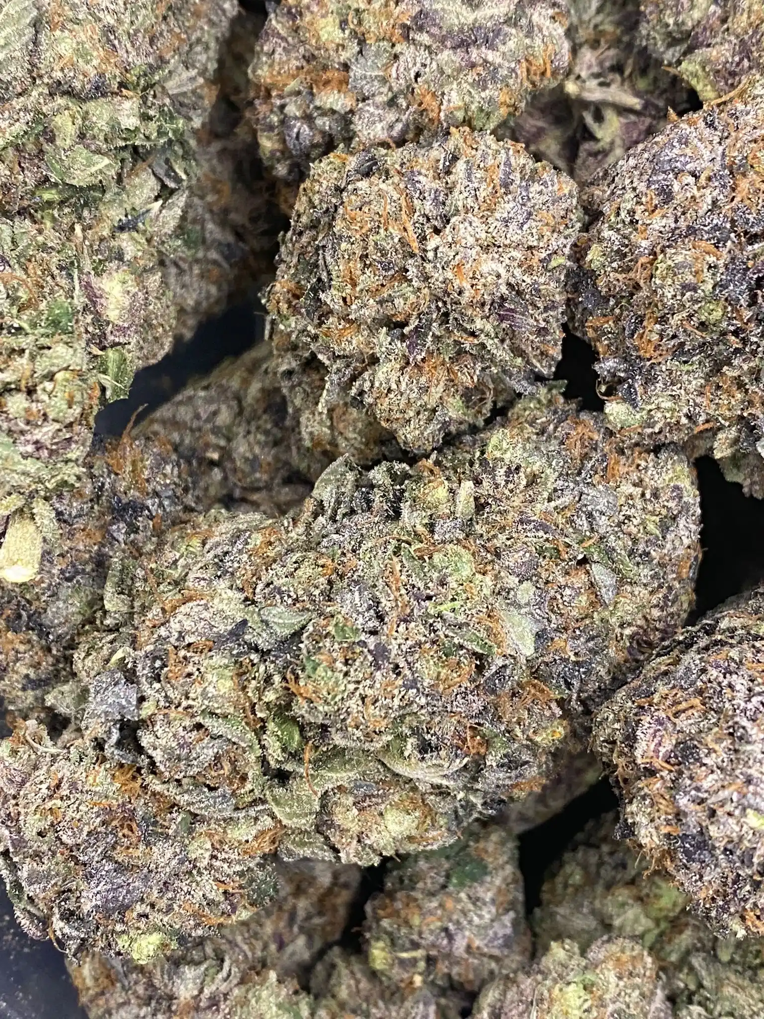 Buy Blue Fin Tuna | Chillin Cheetah