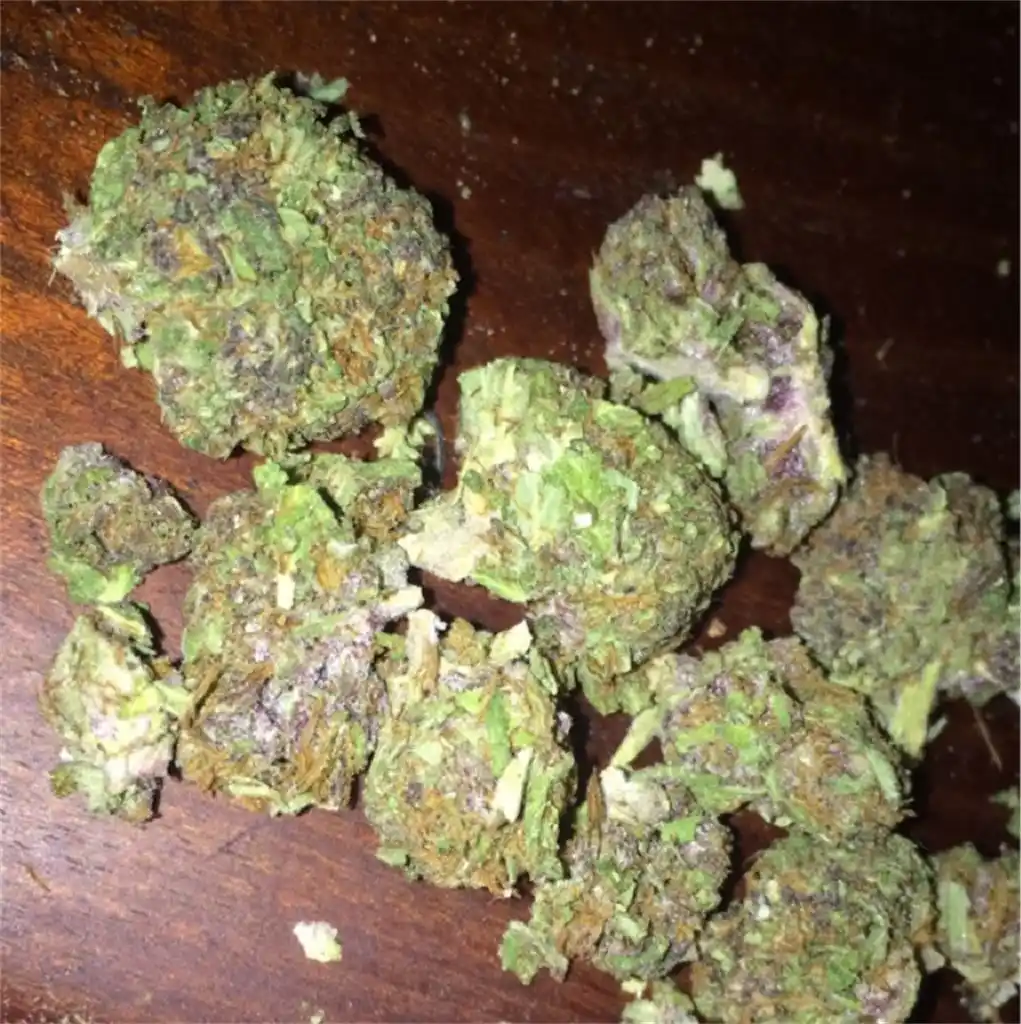 Buy Fruity Pebbles Og | Chillin Cheetah