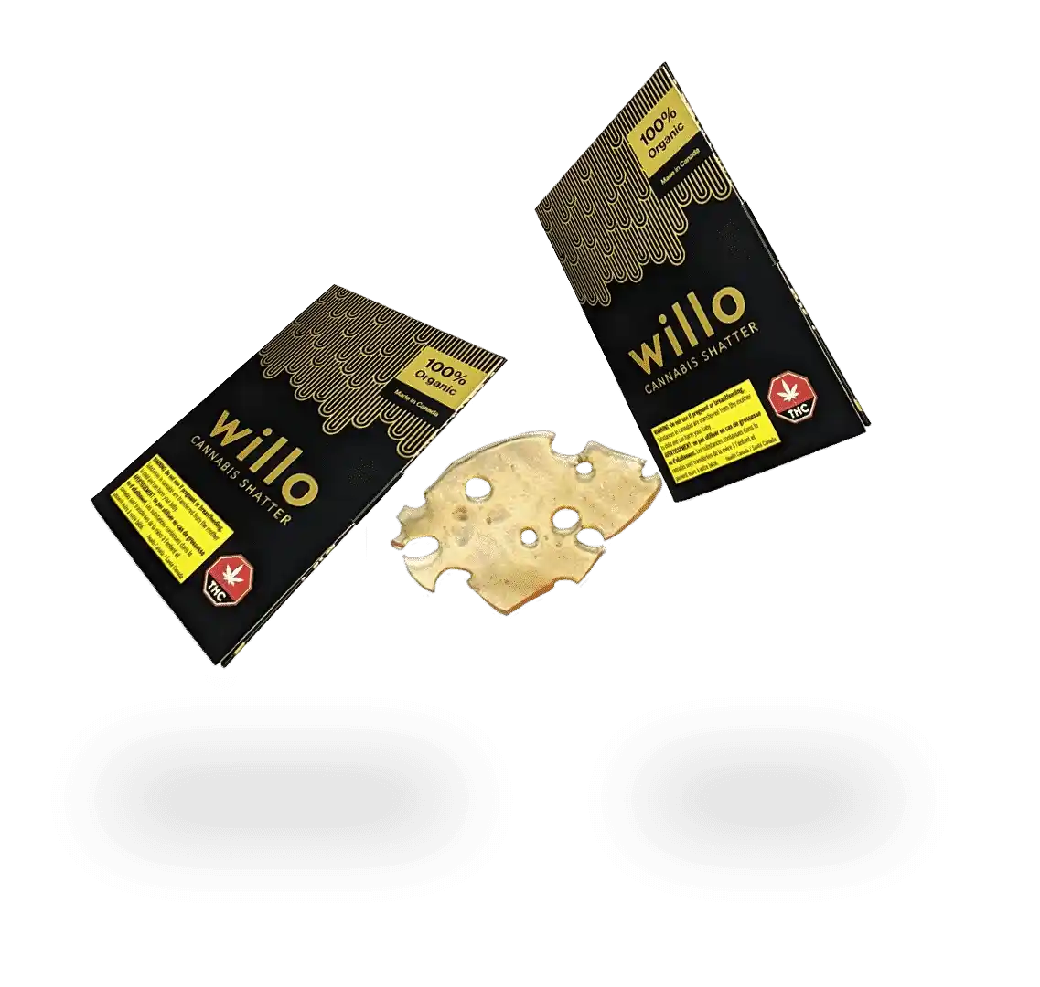Buy Willo - Wild Sherbet Sativa Shatter