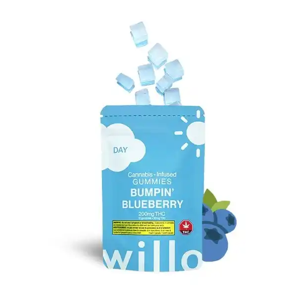 Willo - Bumpin Blueberry 200mg Sativa Available For Delivery - Chillin Cheetah