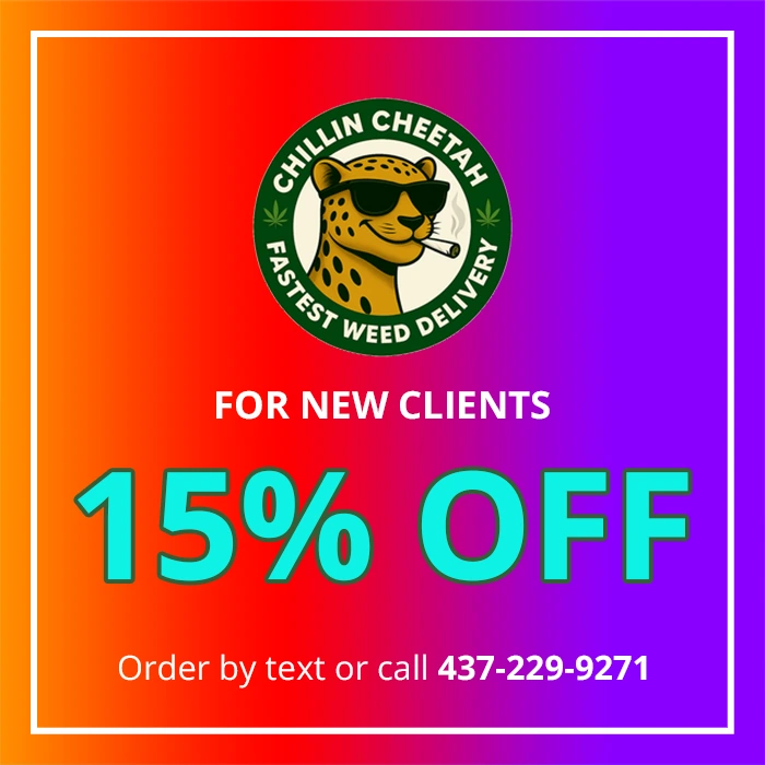 New Clients 15% OFF