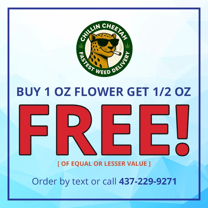 Flower Power Deal <br />Buy 1 Get 1/2 Free!