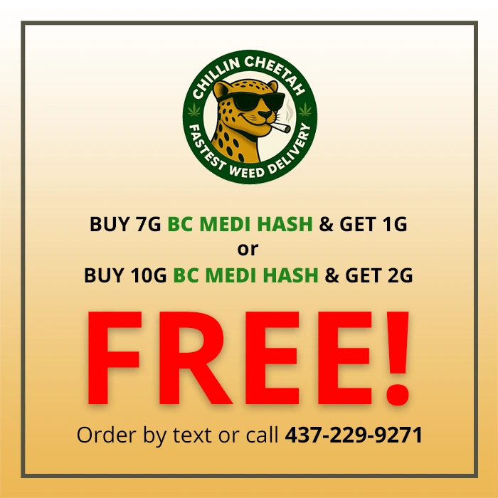Exclusive Hash Offer!