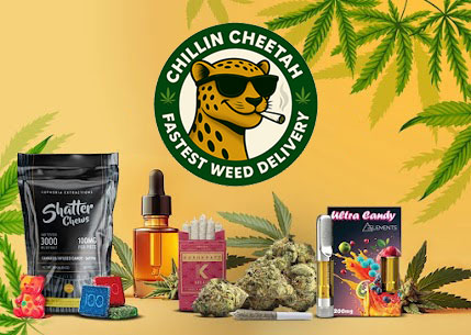 Buy One, Get Half Off! - Chillin Cheetah