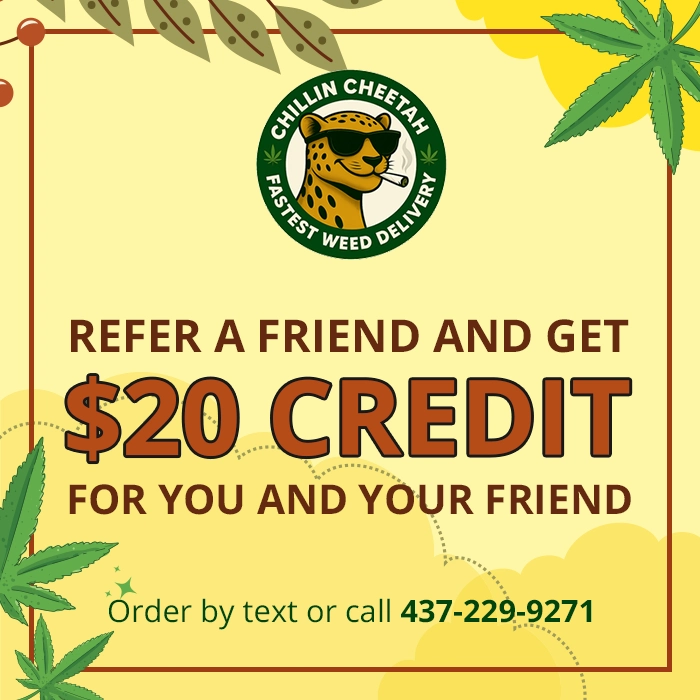 Refer a Friend & Get $20 OFF!
